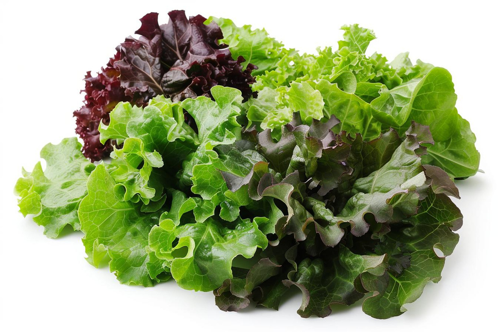 Trio sallad 1st Nederländerna
