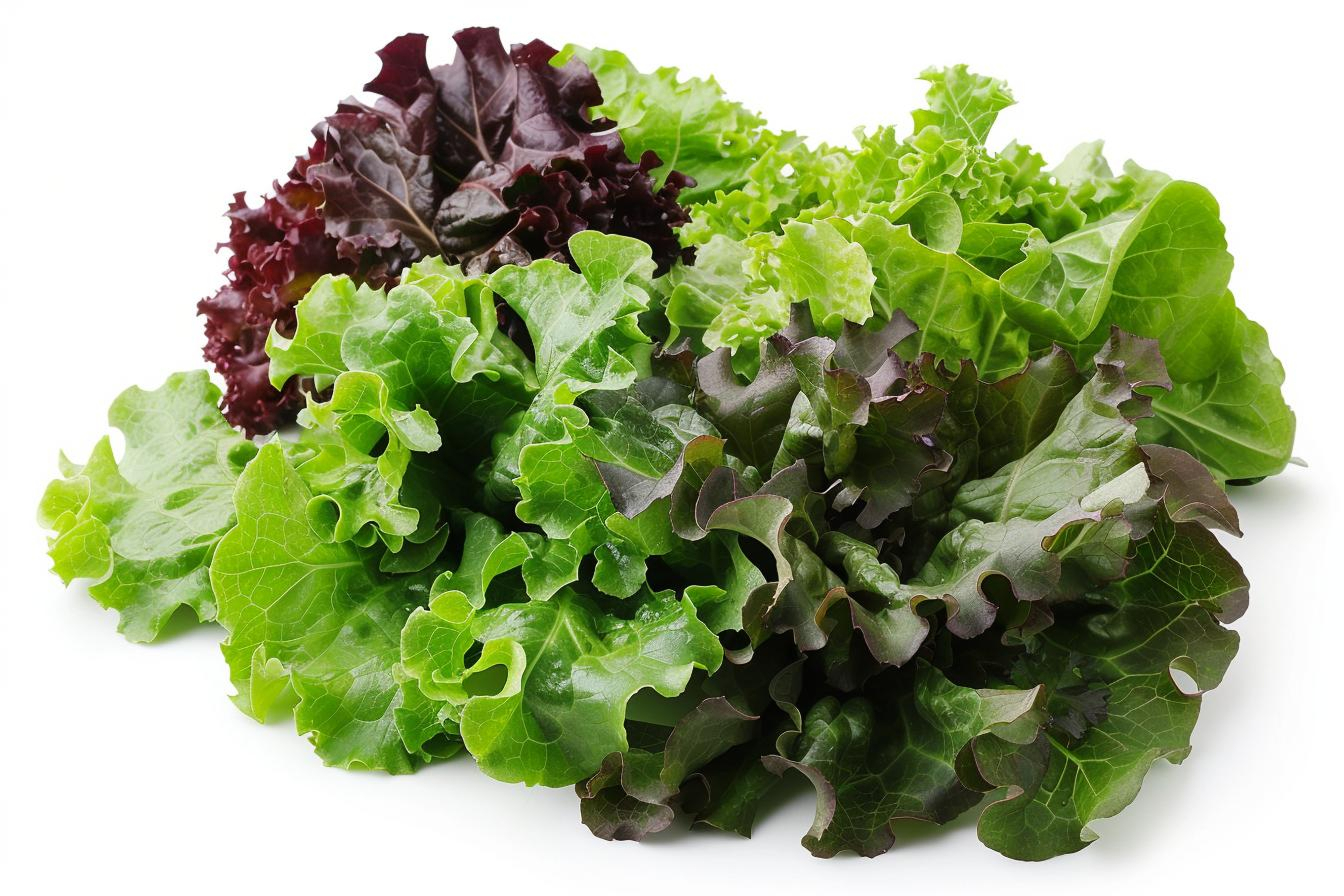 Trio sallad 1st Nederländerna