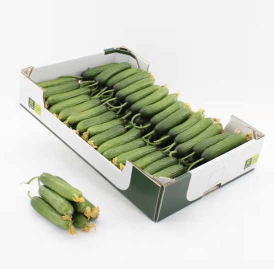 Mini Gurka Med Blommor 9kg Nederländerna