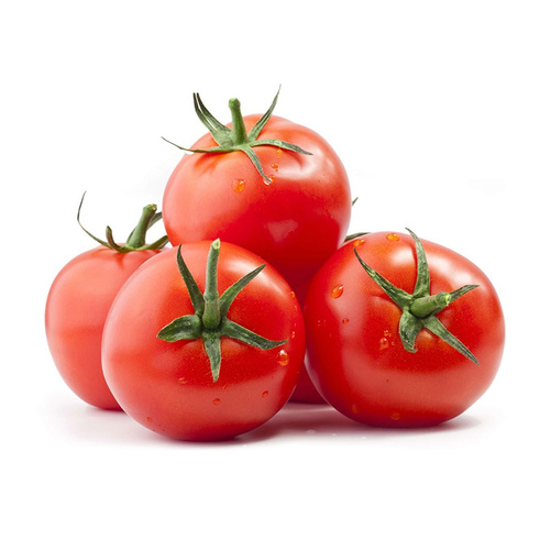 Tomat 6kg/krt Nederländerna