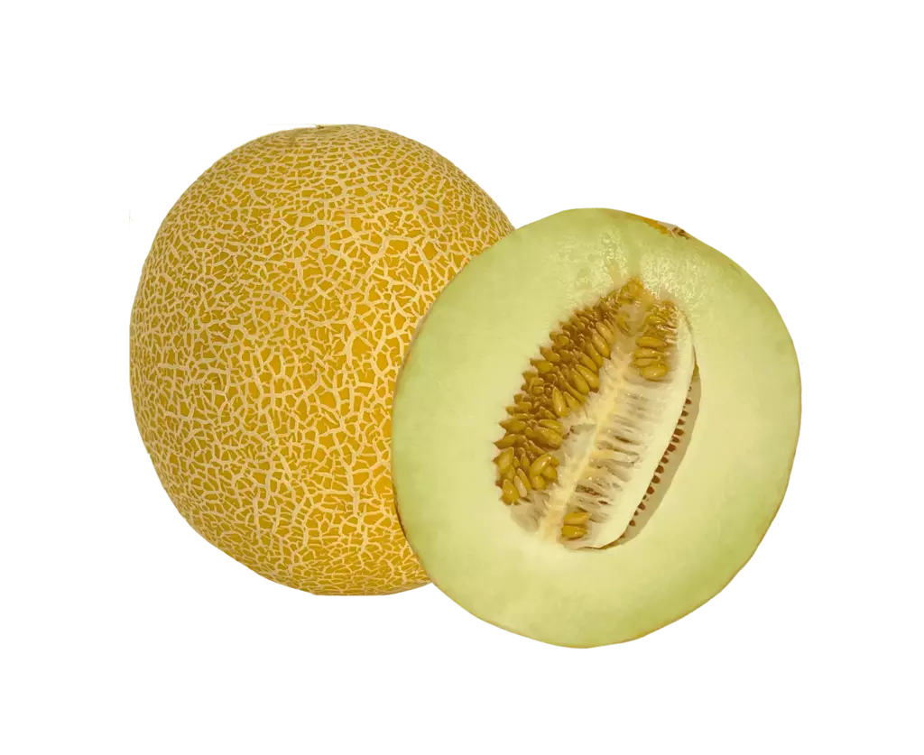 Melon Galia Gul ca 1100g-1200g/per Styck, Pris per Styck - Brasilien