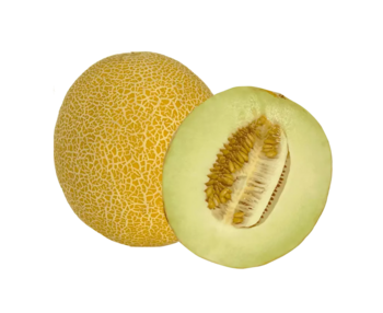 Melon Galia Gul ca5kg/Låda, 5st/Låda Pris på Låda - Brasilien