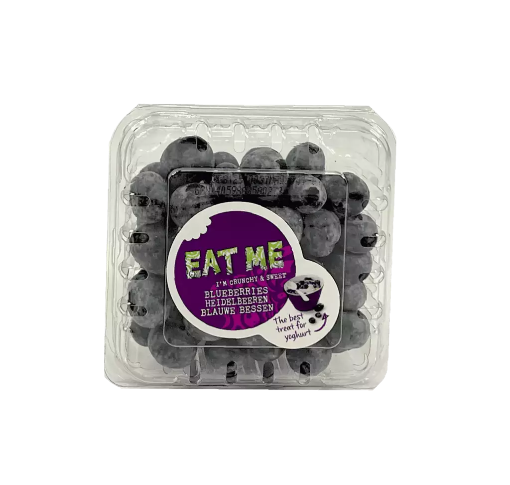 Blåbär 125g/Ask Nederländerna