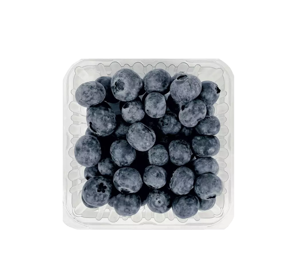 Blåbär 125g/Ask Nederländerna