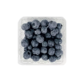 Blåbär 125g/Ask Nederländerna