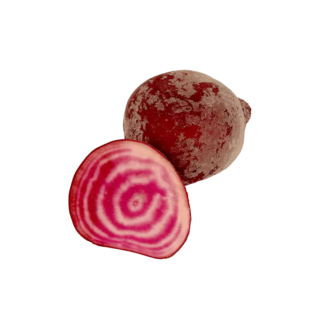 Beetroot Chioggia 500g Netherlands