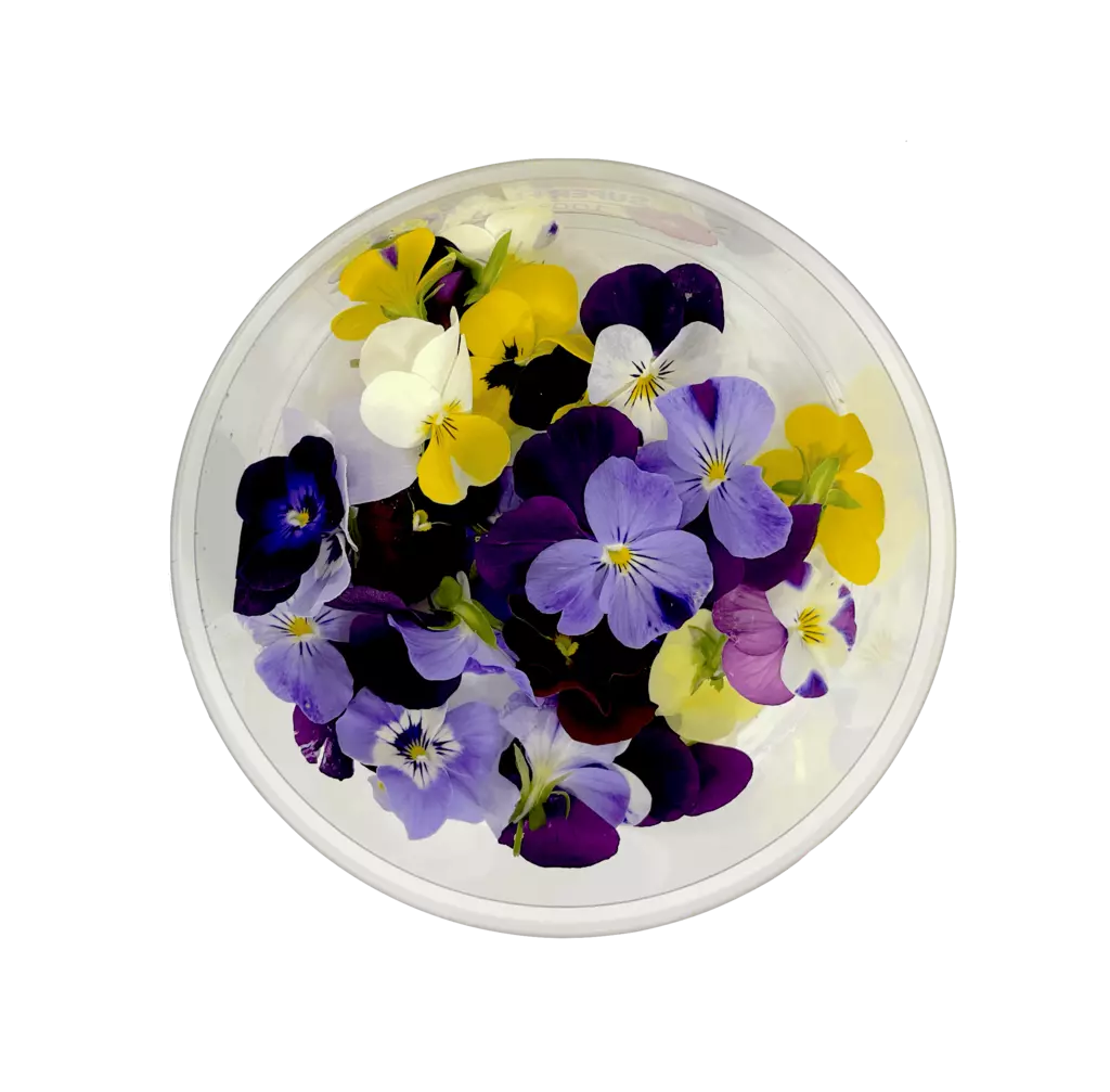 Ätbara Blommor, Violet Flower Ask Nederländerna