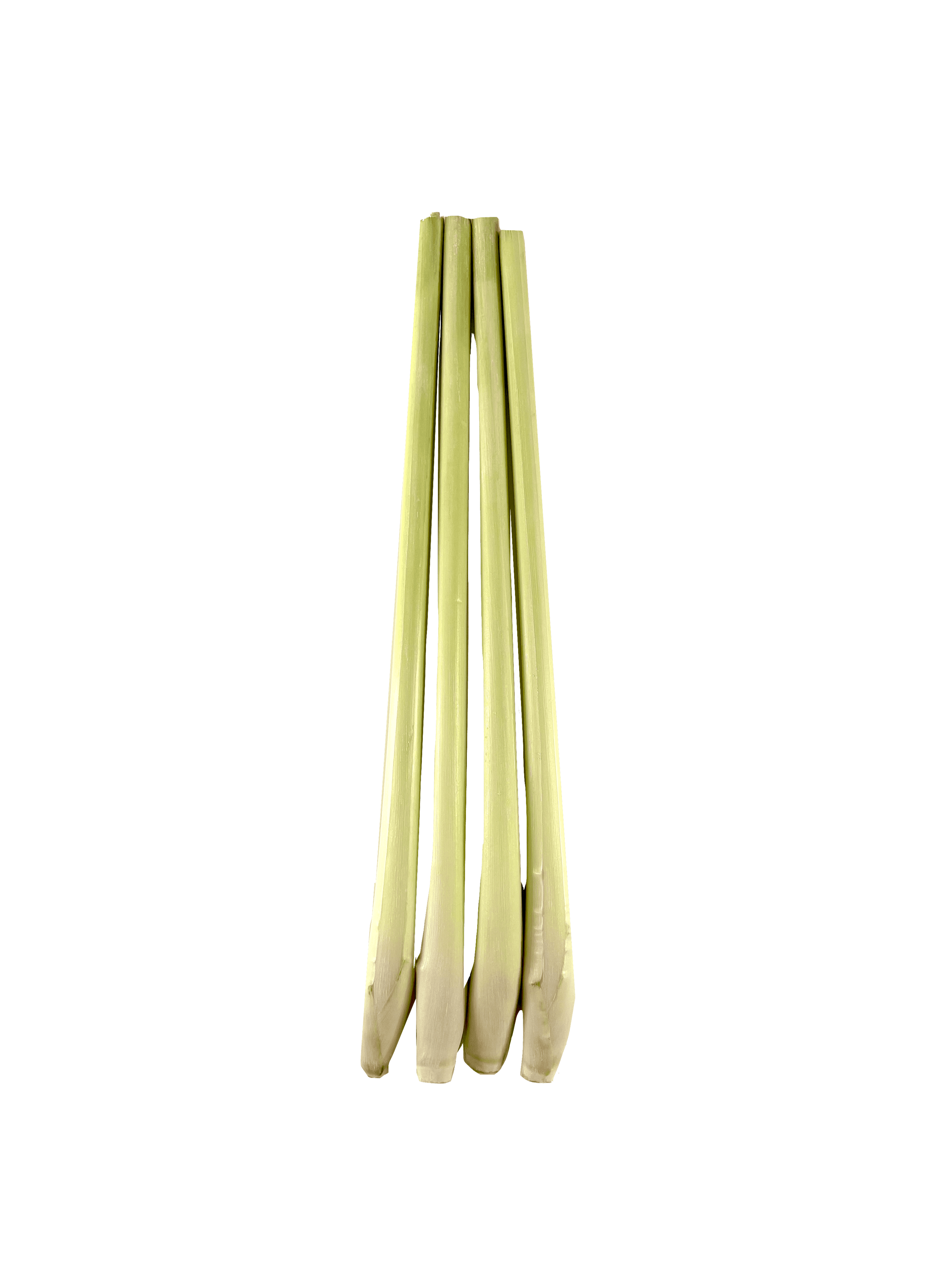 Citrongräs 100g Vietnam