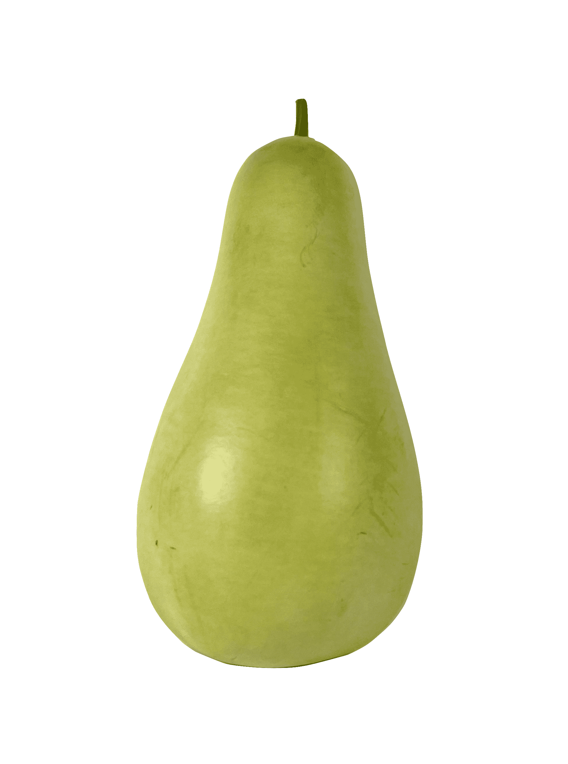 Kalebass Pu Gua ca1100-1500g/st-Spanien-Pris per styck