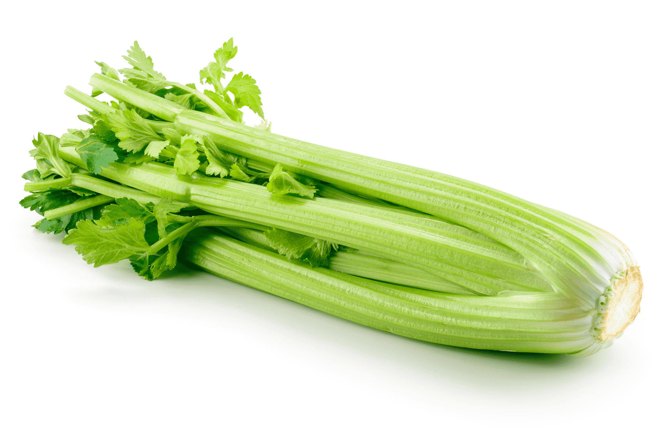 Blekselleri ca500g-750g/Förp Spanien