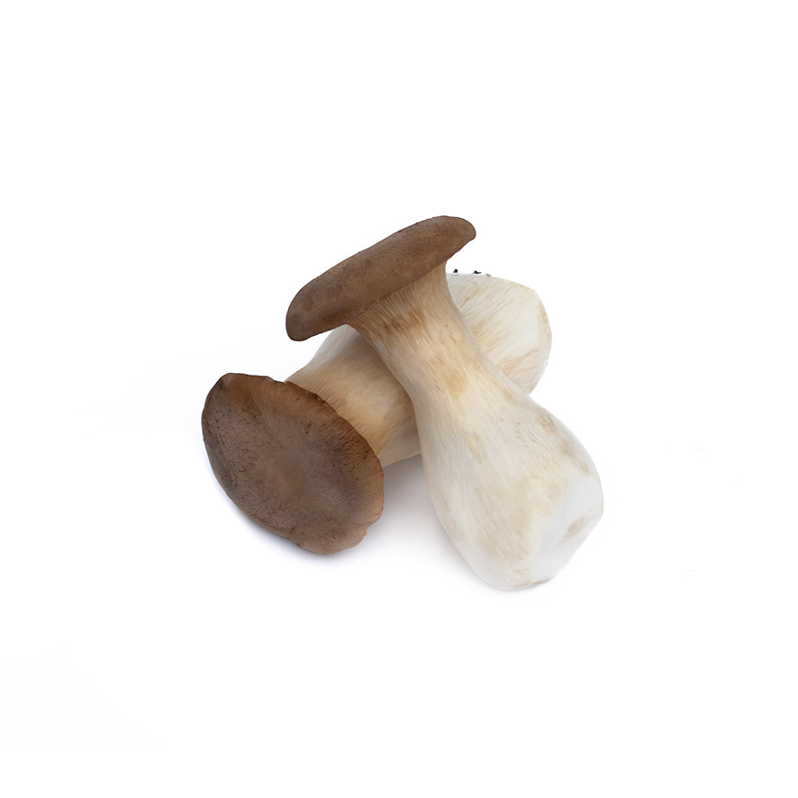 Kungsmussling Mini 200g (Mini King Oyster Mushroom) Kina