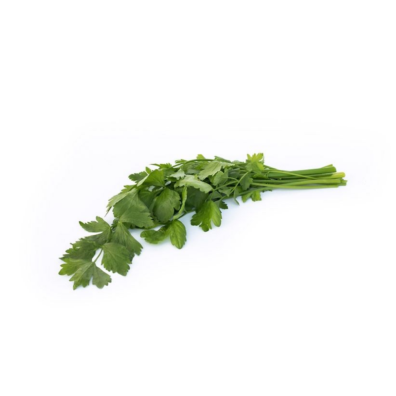 Coriander 150g/bundle Spain