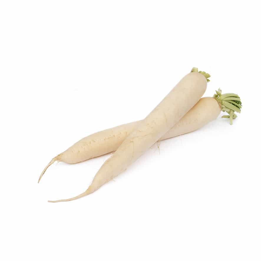 Fresh White Radish 1pc Italy