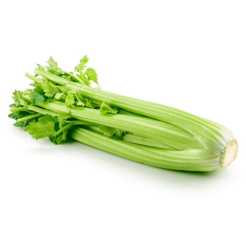 Blanched Celery 550g-600g/förp Spanien