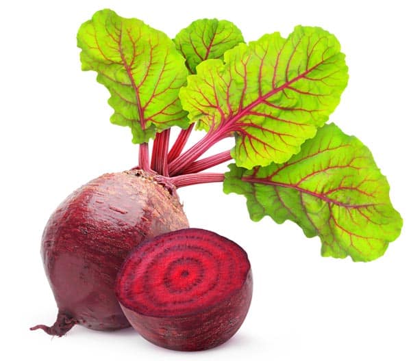 Beetroot 1KG Netherlands