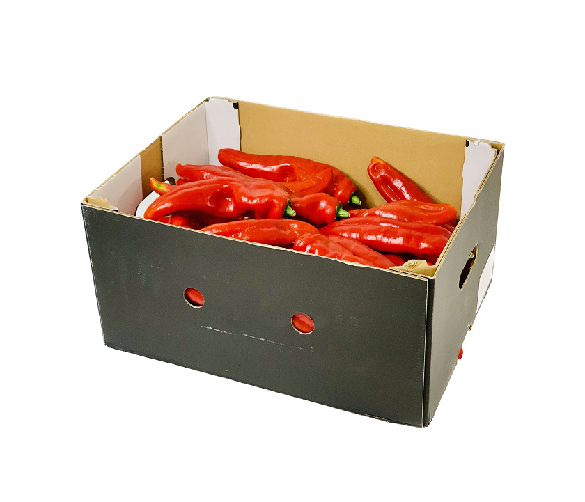 Snack Pepper Red 4kg Spain