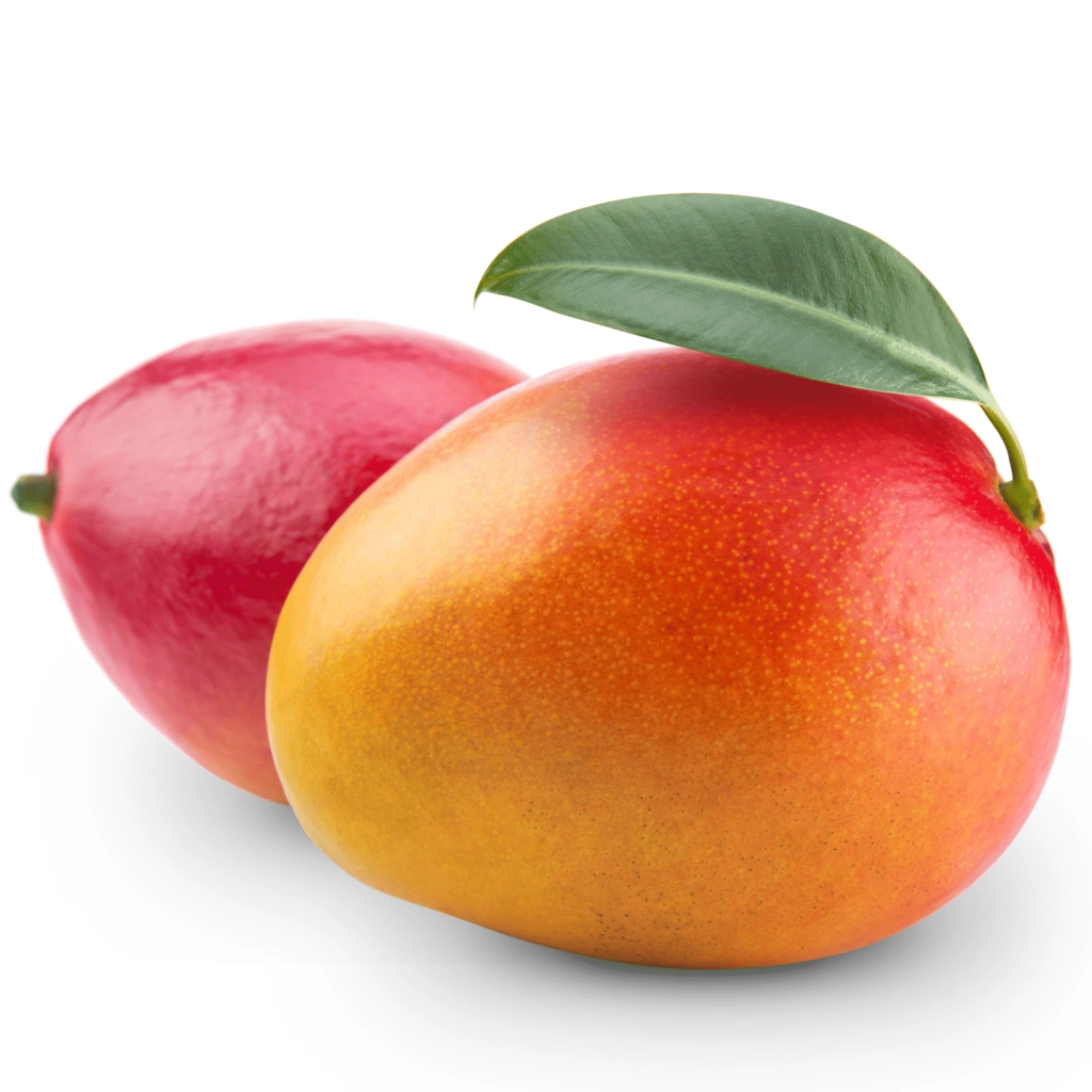 Mango 1pc, approx. 500g Kent Peru (Priced per piece)