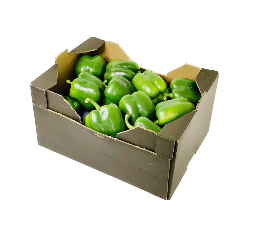 Bell Pepper Green 5kg Netherlands