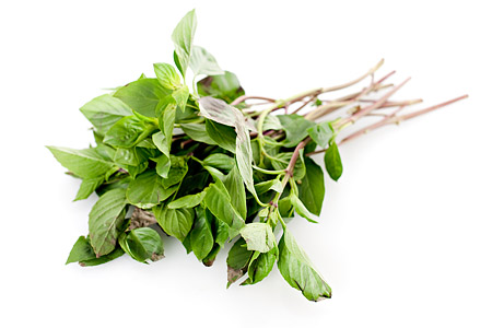 Thai Basil 1x100g Netherlands