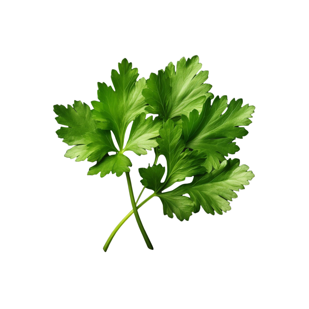 Parsley approx. 225g/bunch Spain