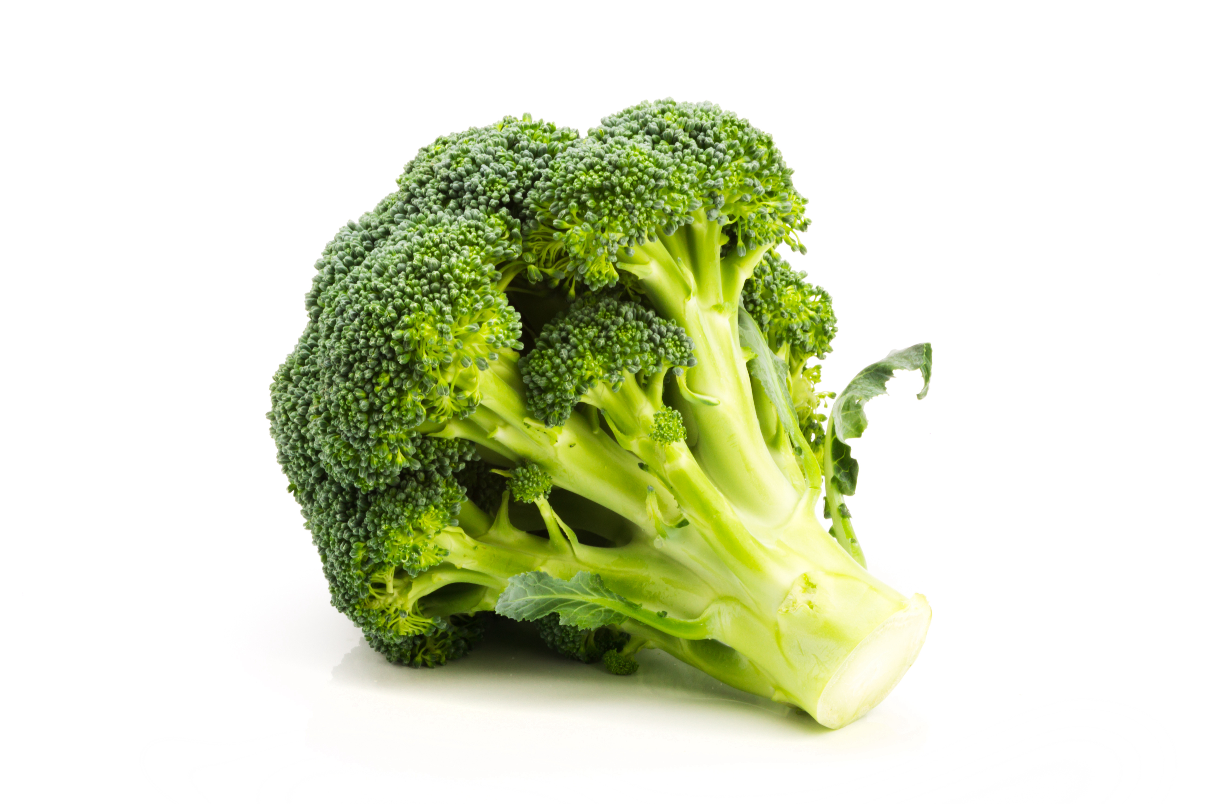 Broccoli Färsk 24x250g/krt Spanien