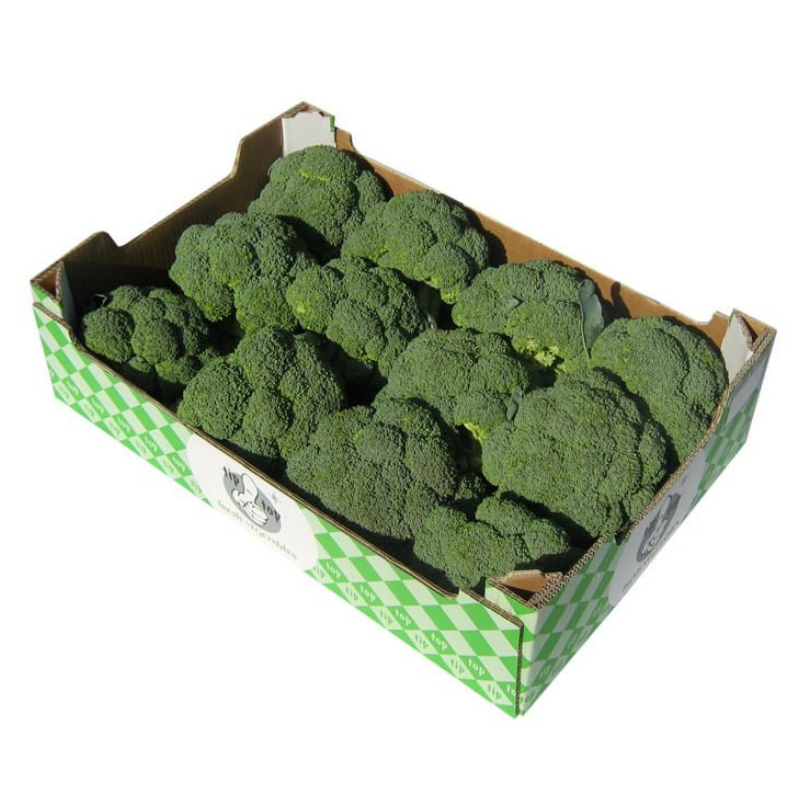 Fresh Broccoli 6 kg Spain