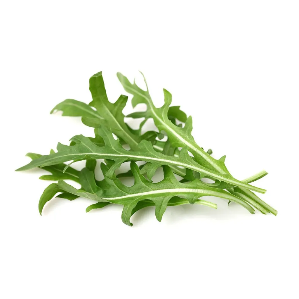 Ruccola 1KG Netherländerna