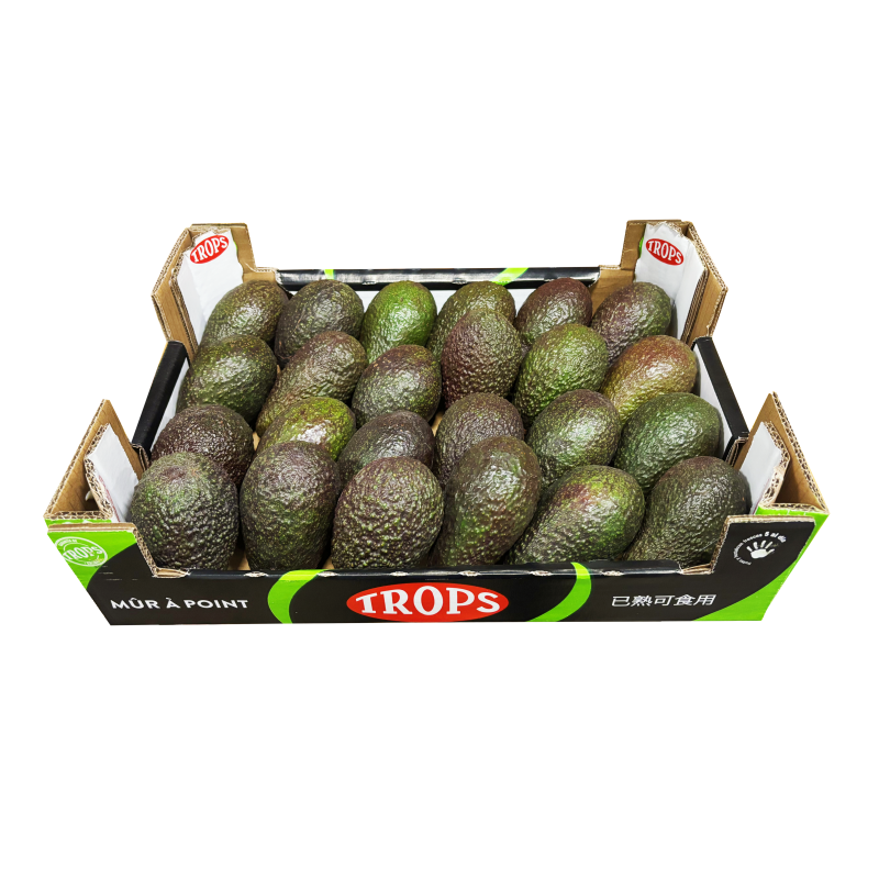 Avokado Ready to Eat 24st/Låda Trops Chile