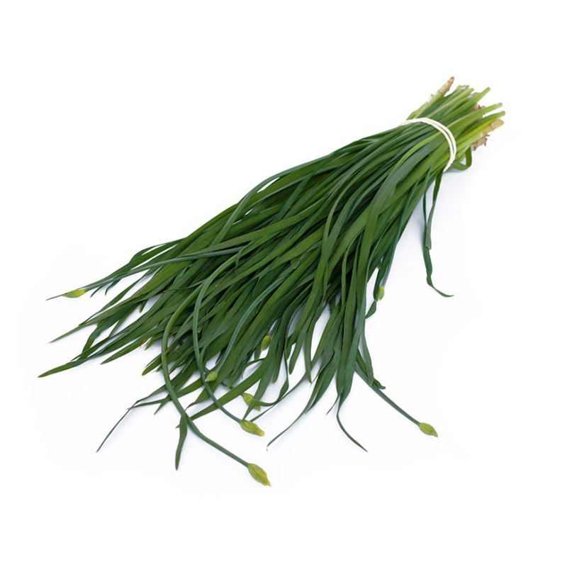 Kinesisk Gräslök 1KG - Spanien