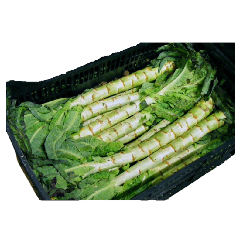 Sparrissallad (Wo Sun) 10kg Spanien