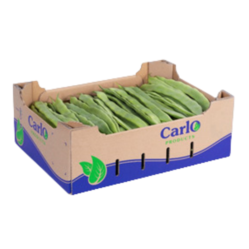 Fresh Runner Beans 4KG Belgium