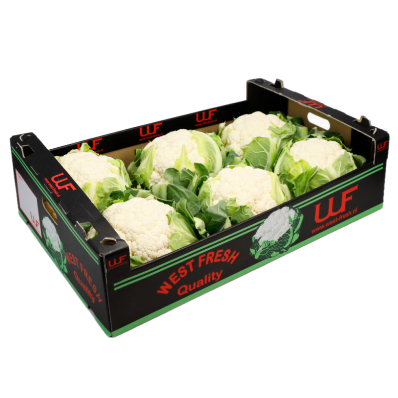 Cauliflower Bai Hua Cai 8KG/Carton Netherlands