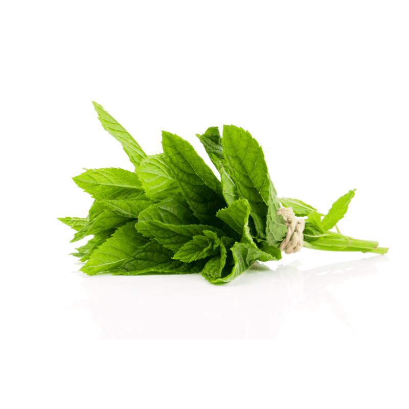 新鲜薄荷 150克 德国