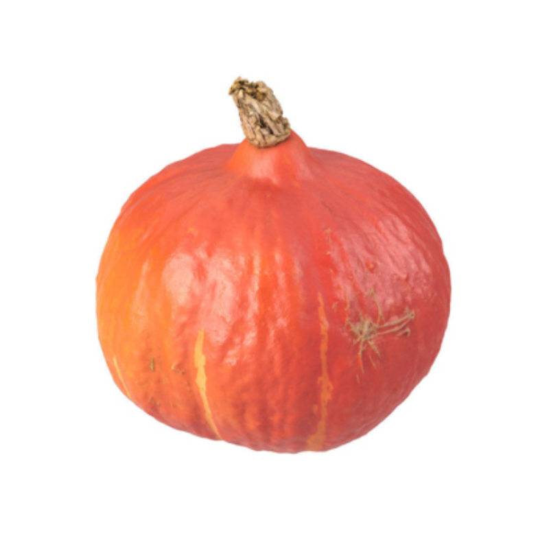 Pumpa Hokkaido 1st Nya Zeeland