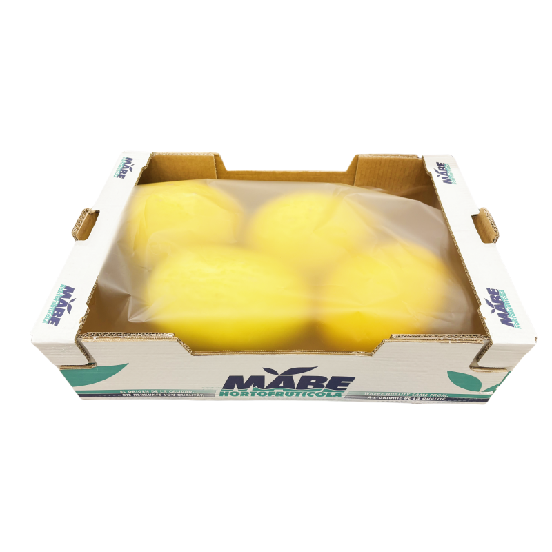 Honungsmelon Färsk 10KG/Krt Spanien