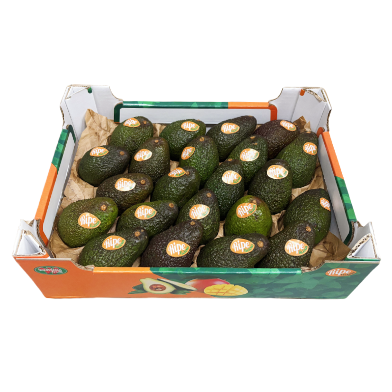 Avokado Ready to Eat 22st/Låda Ripe Chile