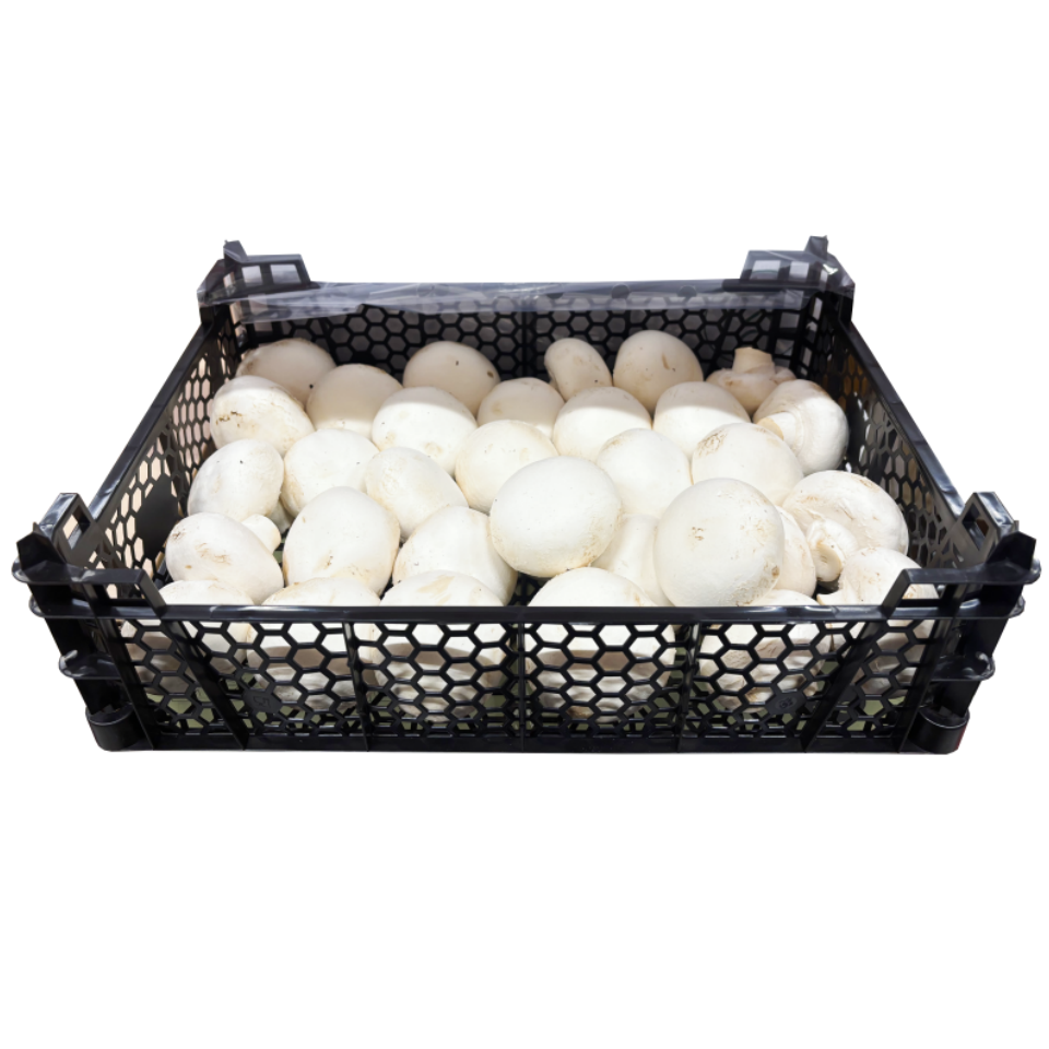 Champinjon Vit 3kg/låda Polen