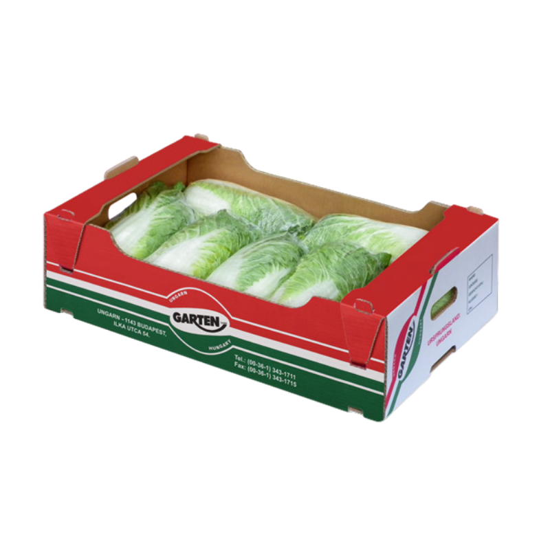 Salladskål Färsk 6kg/krt Polen