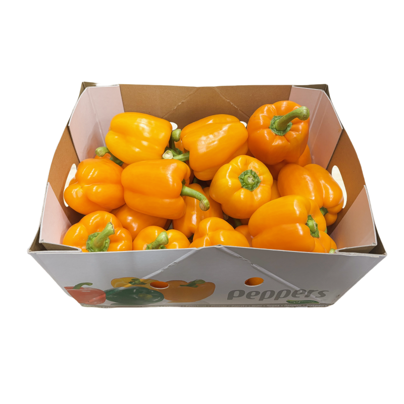 Paprika Orange 5KG Netherländerna