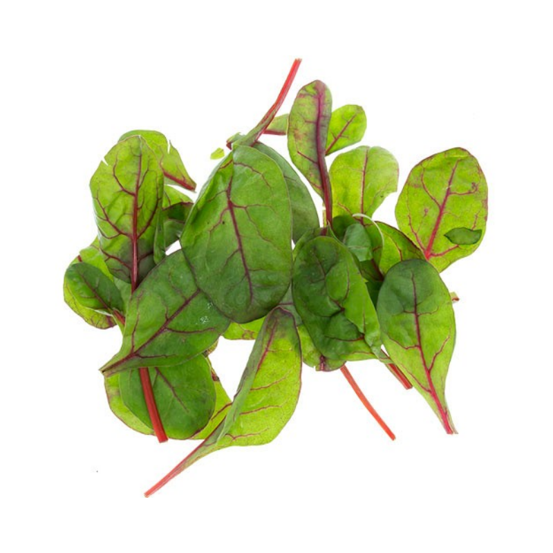 Röd Mangoldskott 50g Sverige