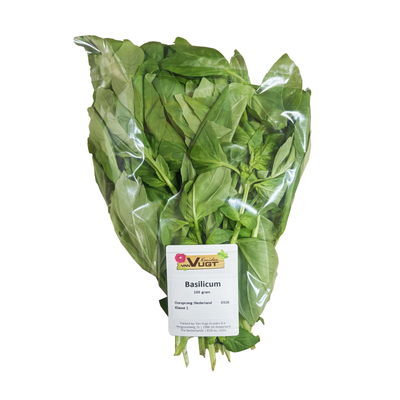 Basilika 1x100g Nederländerna