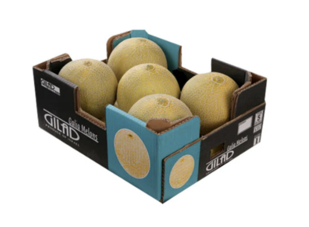 Melon Galia, grönt fruktkött ca 5kg/låda Spanien