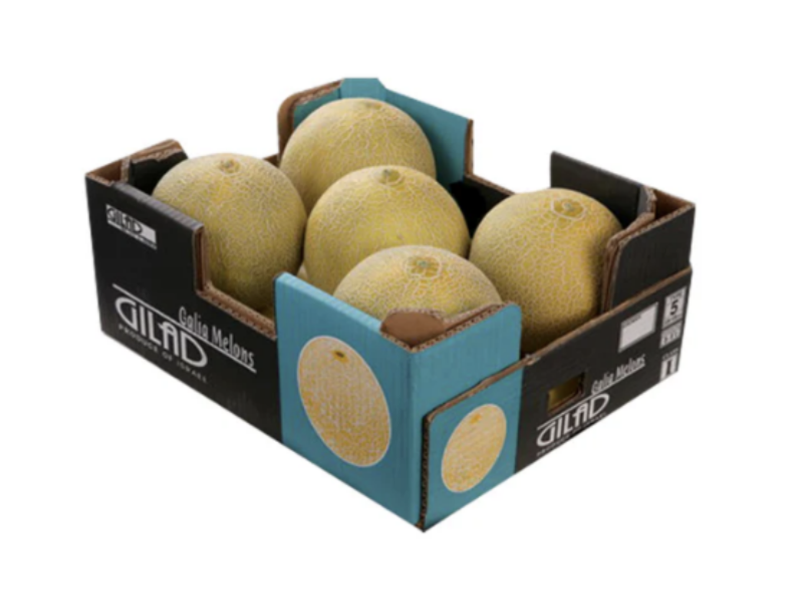 Melon Galia, grönt fruktkött ca 5kg/låda Spanien