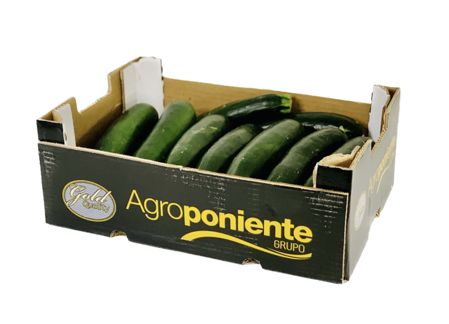 Zucchini 4,5kg/Låda Netherländerna
