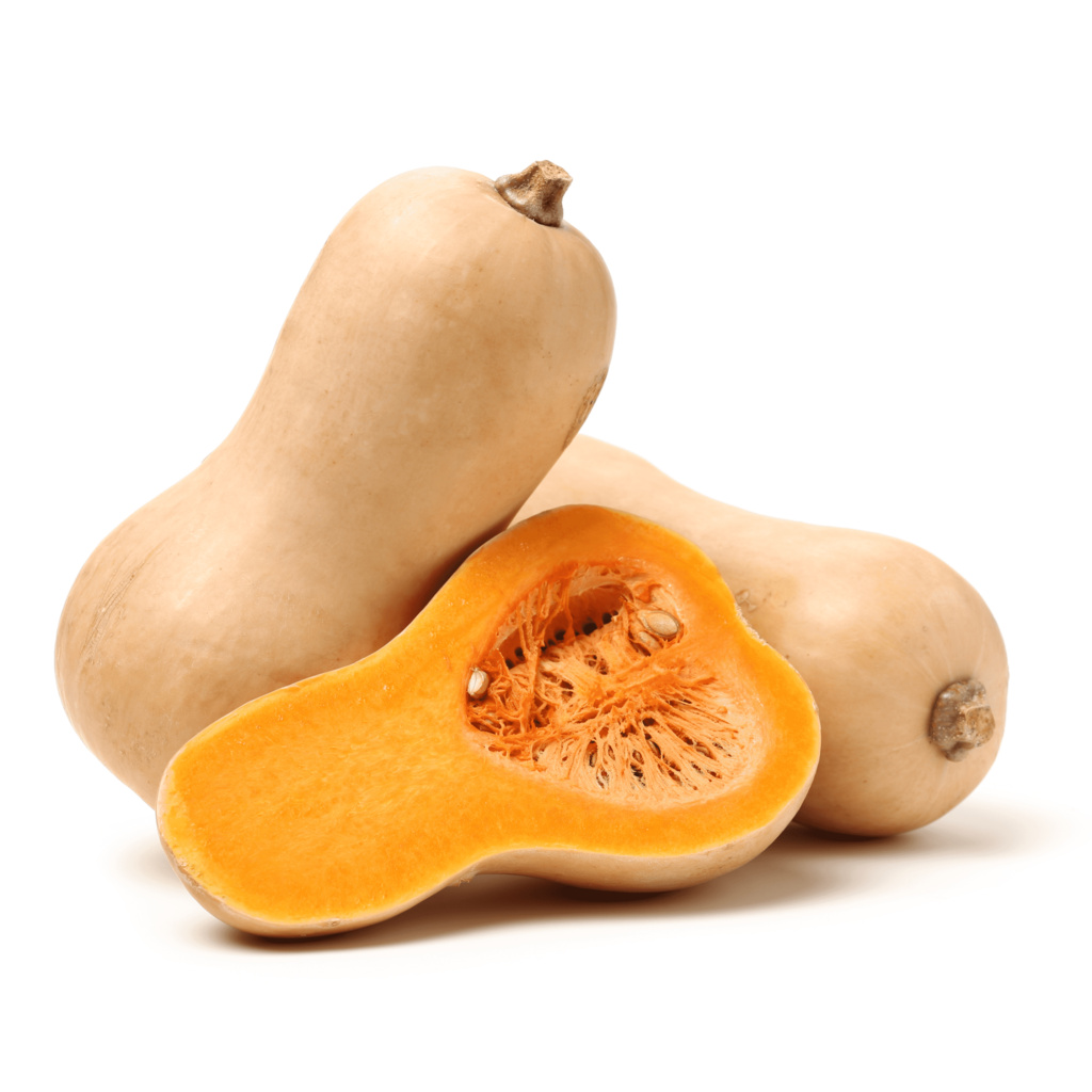 Pumpa Butternut 1st  Spanien