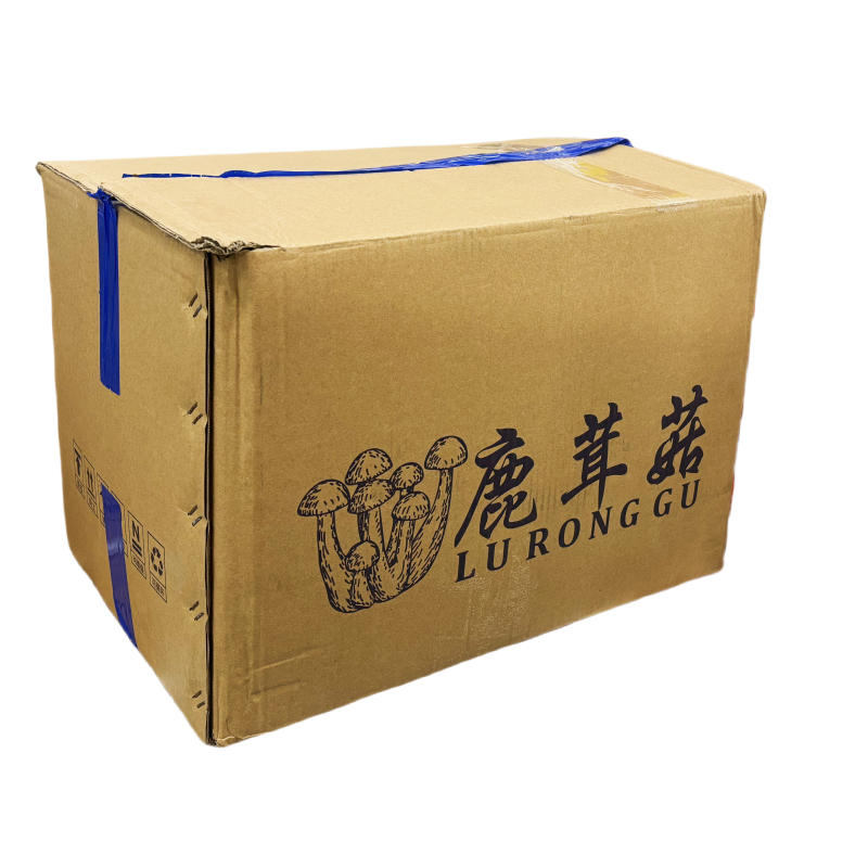 Torkad Sammetschampinjon 5kg Kina