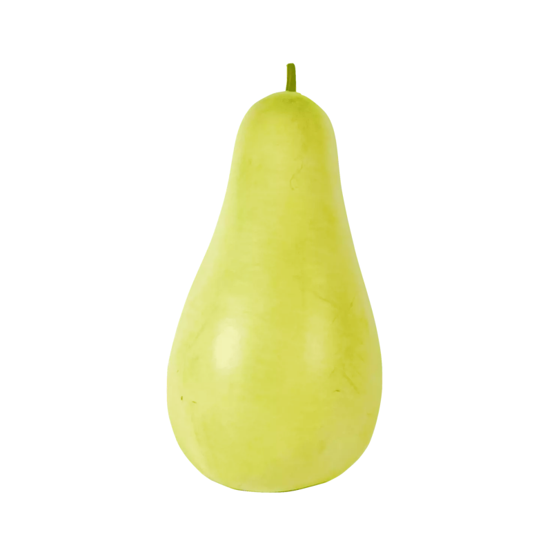 Kalebass Pu Gua ca950-1100g/st-Spanien-Pris per styck