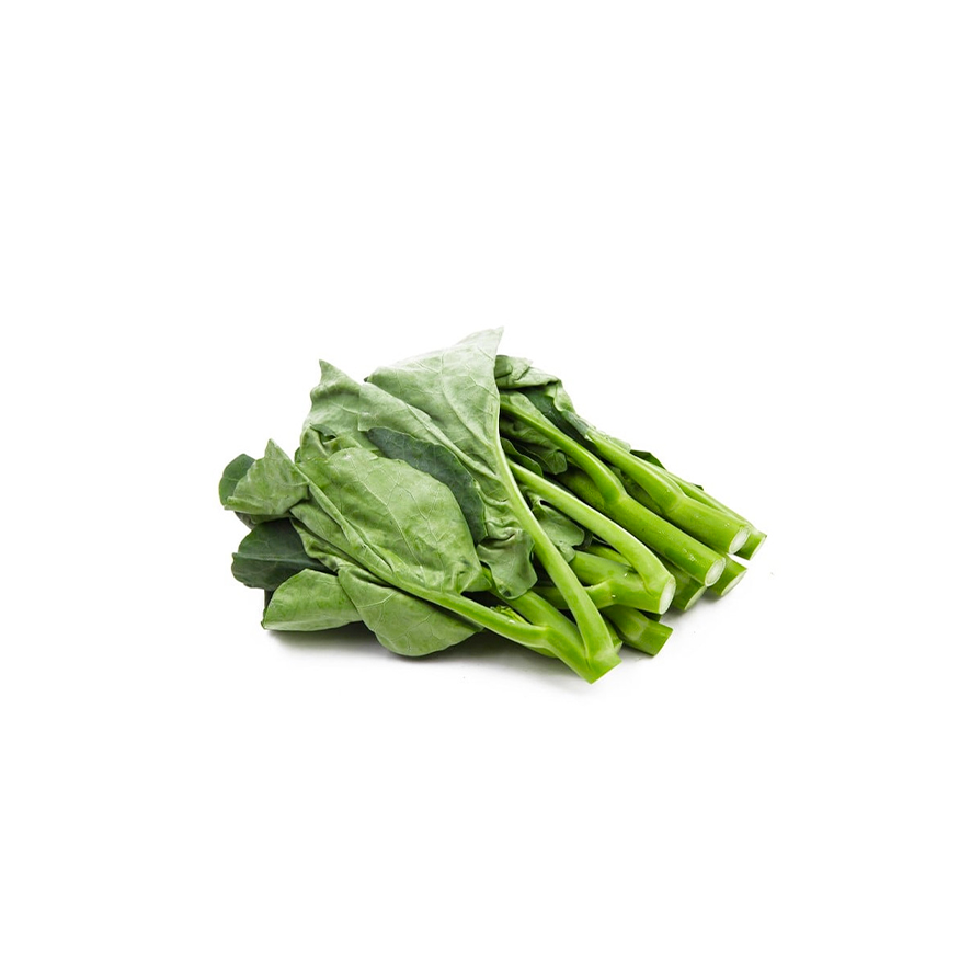 Kailan 1KG Nederländerna