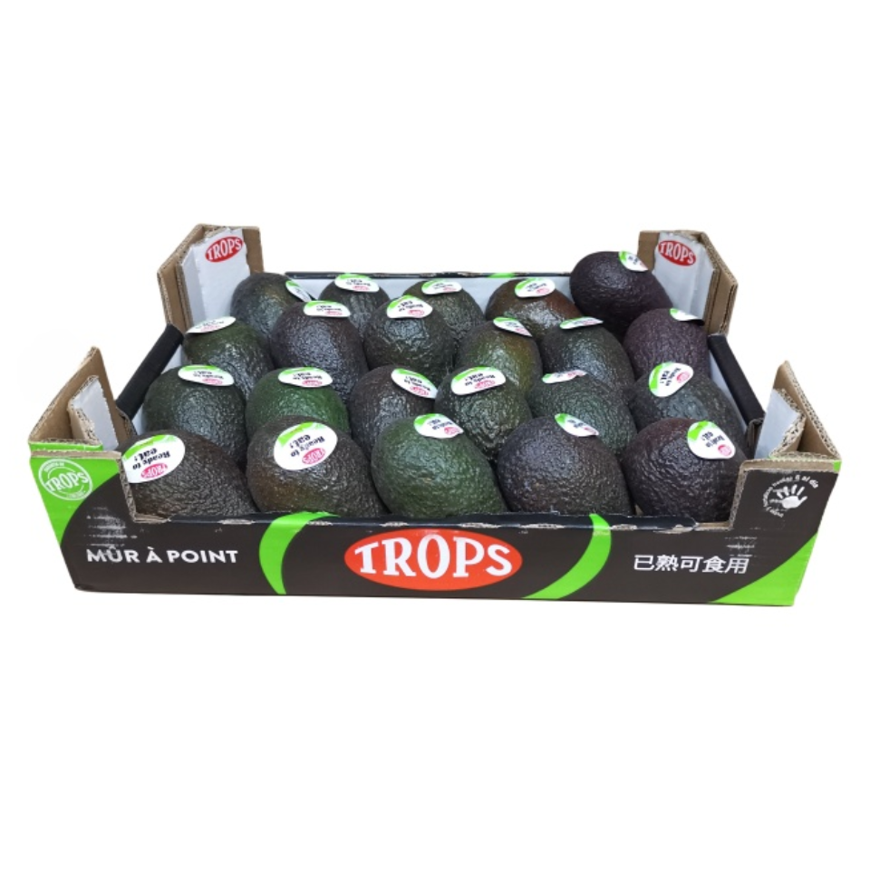 牛油果 即食 22颗/箱 Trops 智利