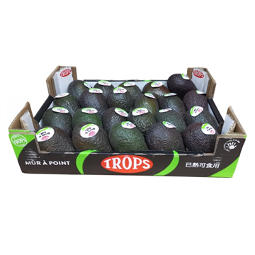 Avokado Ready to Eat 22st/Låda Ripe Chile